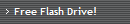 Free Flash Drive!