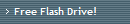 Free Flash Drive!